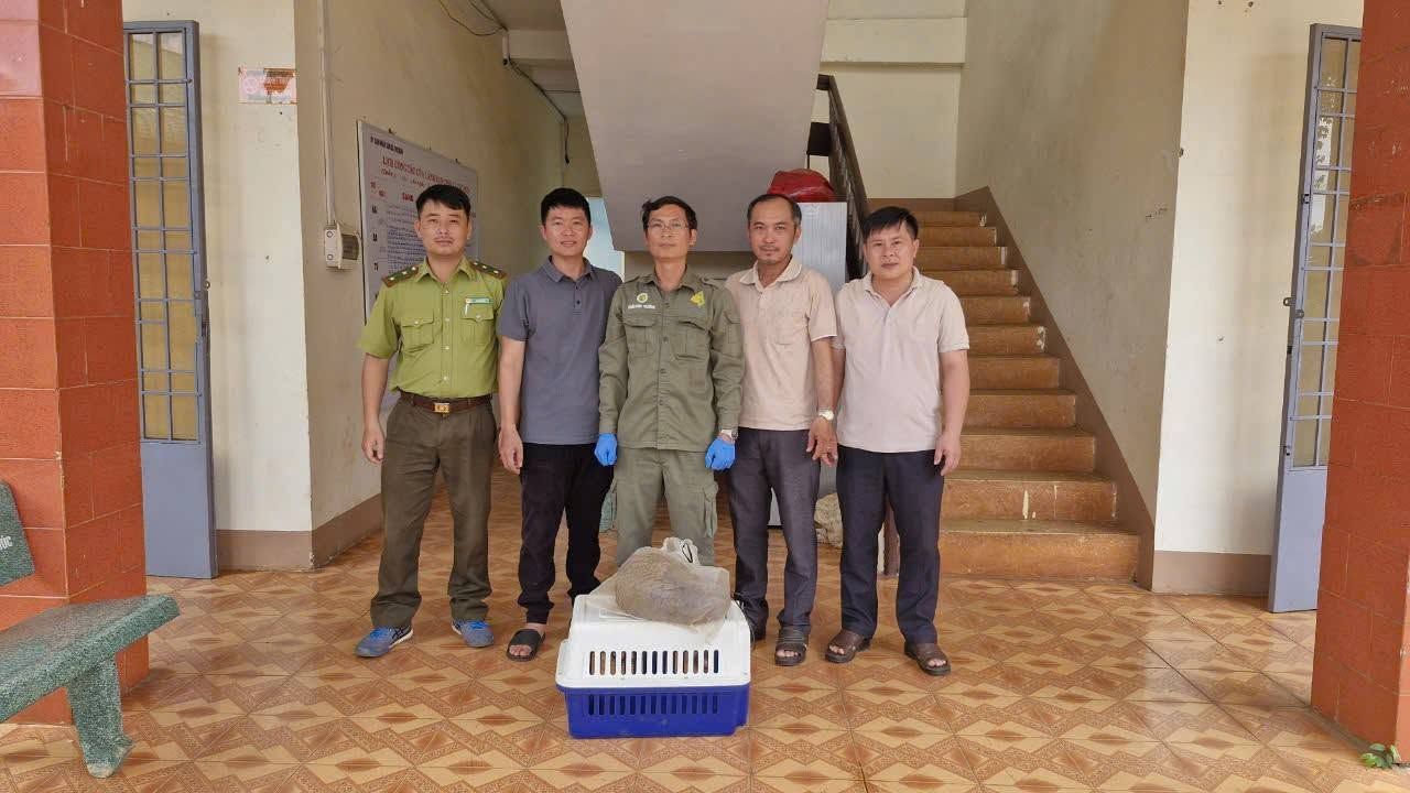 Cá thể tê tê java sẽ được thả về môi trường tự nhiên. ông Bùi Văn Hữu
