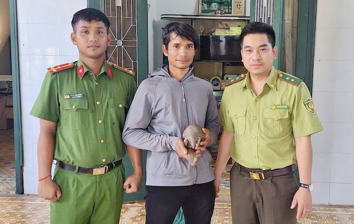 Mr. Ho Van Luan (middle of the photo) returned from working in the fields and discovered a pangolin by the roadside, so he brought it to hand over to functional agencies. Photo: Huong Hiep Commune People's Committee