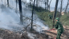 Scene of the fire near the casuarina forest in Hue City. Photo: Vo Tien