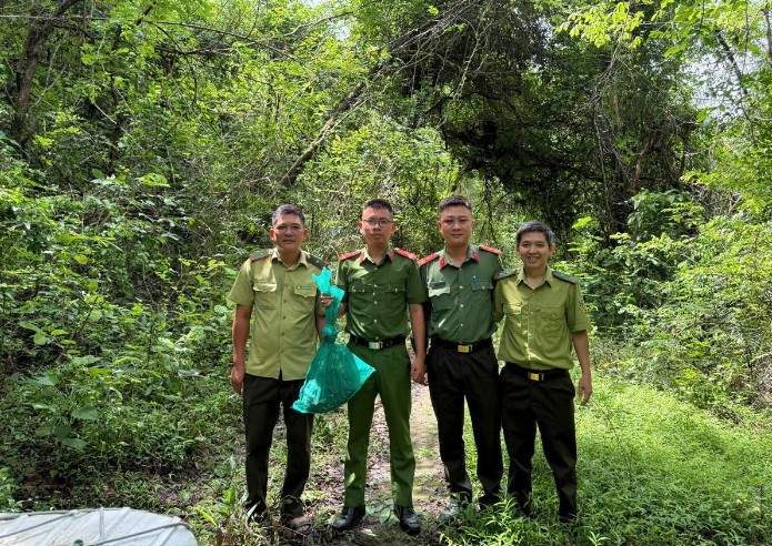 Functional forces of Dak Lak province release a rare brocade python into the natural forest. Photo: Police provided