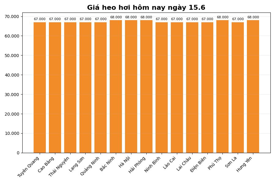 Giá heo hơi hôm nay 15.6 tại khu vực miền Bắc. Đồ họa: Thùy Linh
