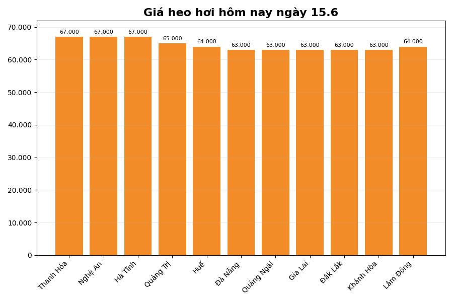 Giá heo hơi hôm nay 15.6 tại khu vực miền Trung. Đồ họa: Thùy Linh