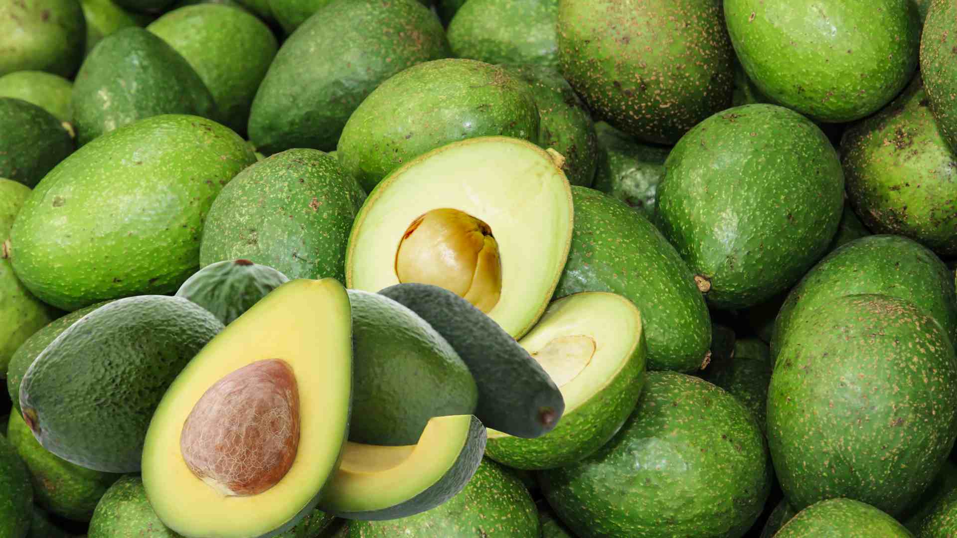Unsaturated fats in avocados help slow down digestion and increase satiety, supporting weight loss. Graphic photo: Huong Son