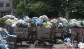 Garbage continues to surround the central ward of Thanh Hoa province. Photo: Quach Du
