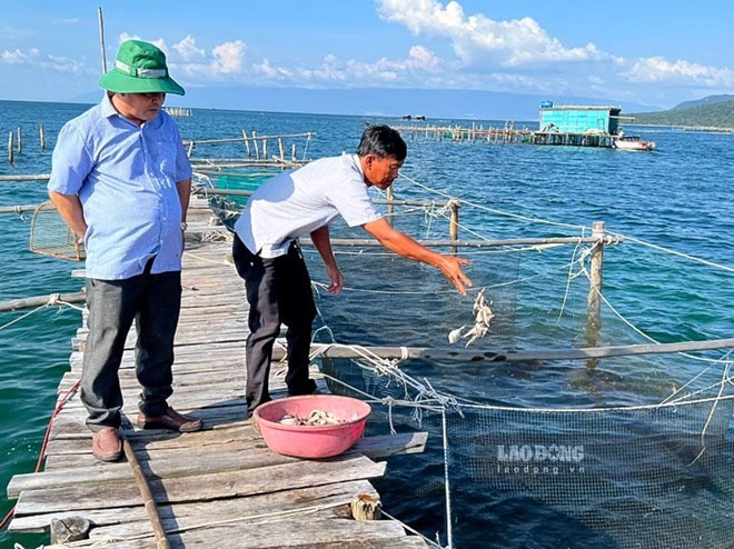 Nuôi trồng thủy sản ngày càng giữ vai trò chủ lực. Ảnh: Nguyên Anh