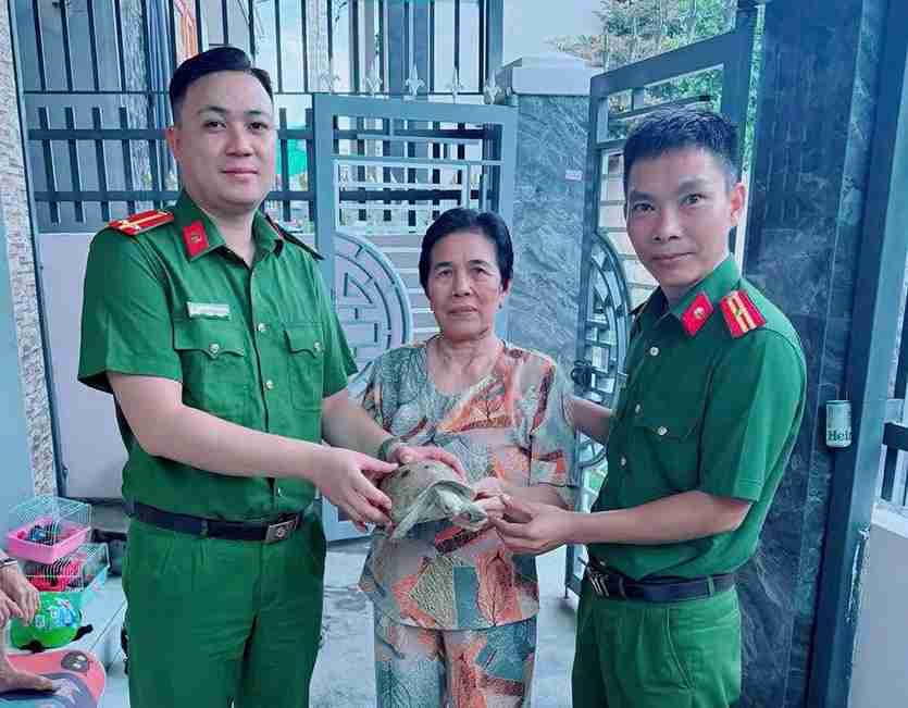 People hand over precious gold mountain turtles to functional agencies. Photo: Police provided