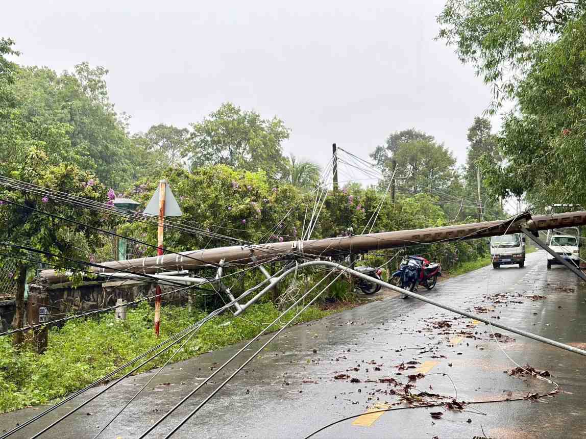 Functional units of Dau Tieng commune have overcome the incident of fallen green trees and power poles. Photo: Military Command of Dau Tieng commune