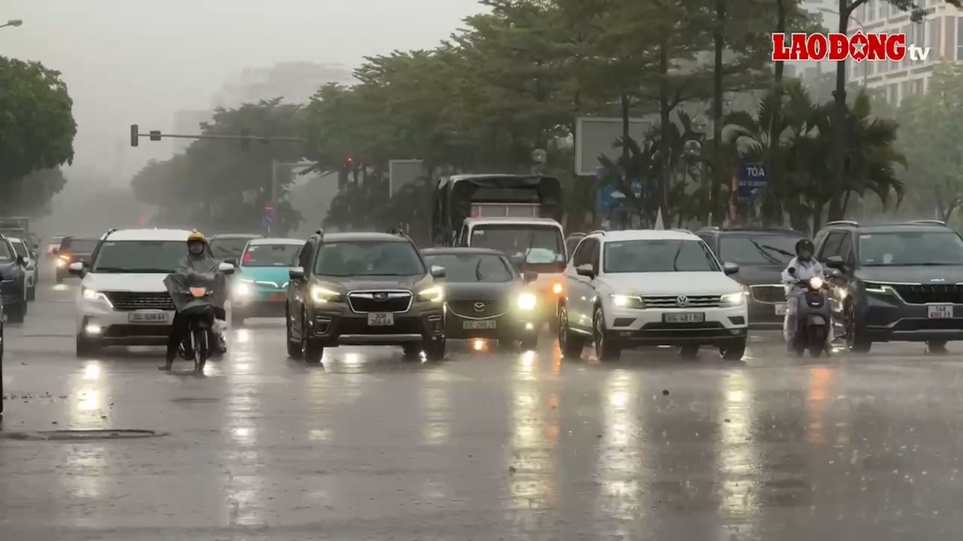 Weather today June 16: Northern region cools down, heavy to very heavy rain in some places in the evening