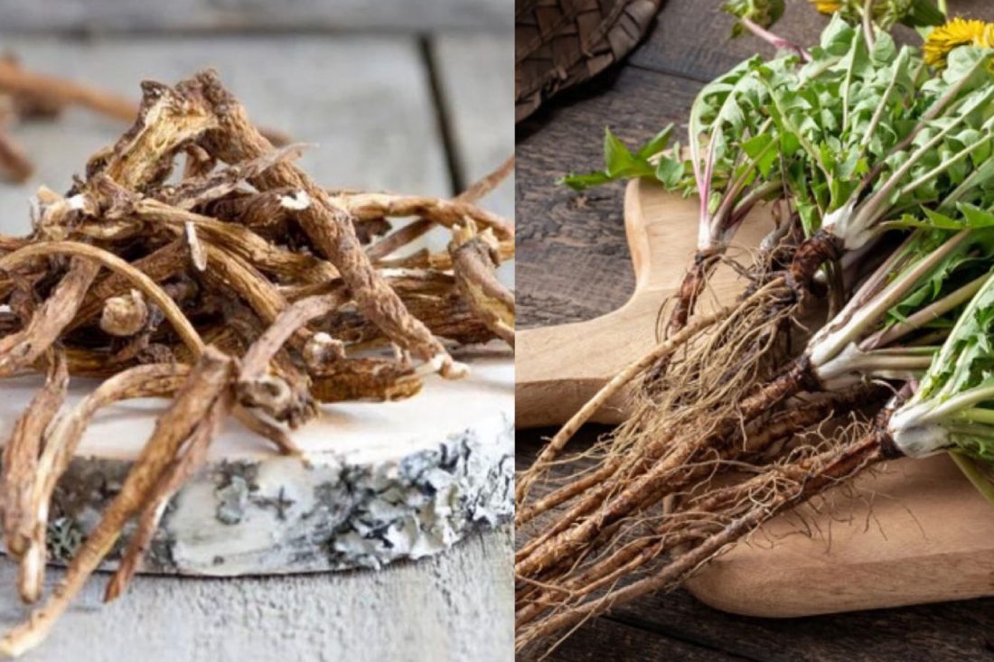 How to use herbs to support natural liver detoxification