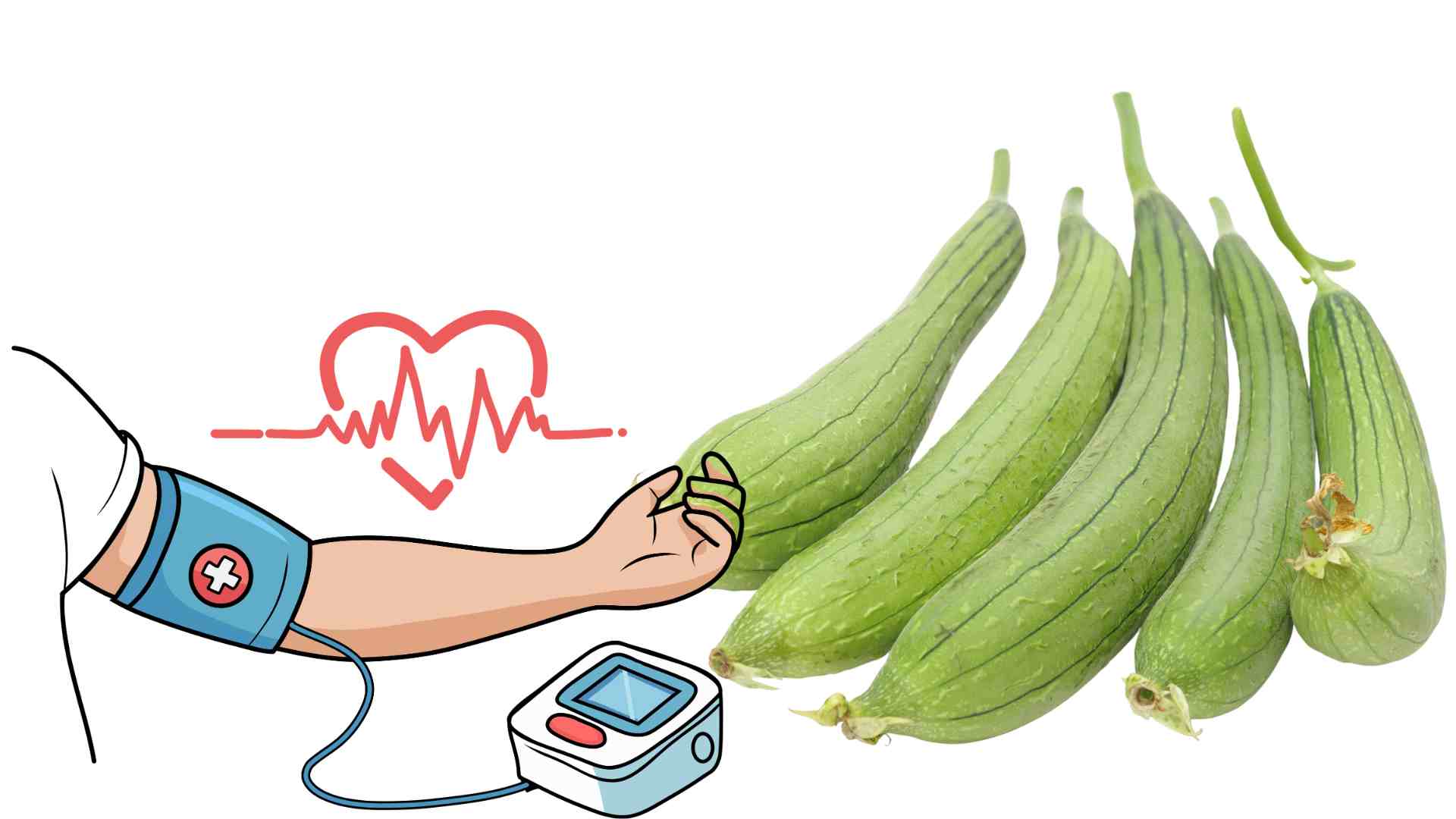 Luffa helps cool down, supports weight loss and stabilizes blood pressure. Graphics: Ha May