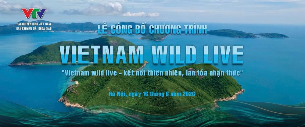 The "VIETNAM WILD LIVE" project of VTV Station is not only recounted through pre-made footage, but wild nature is also present directly before the audience. Photo: Organizing Committee