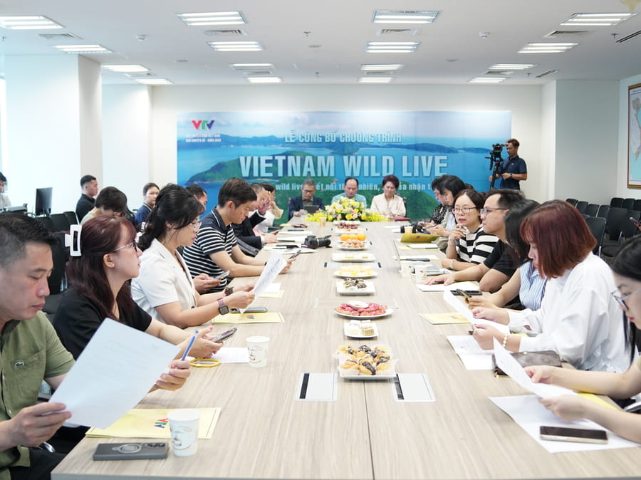 Đài truyền hình Việt Nam