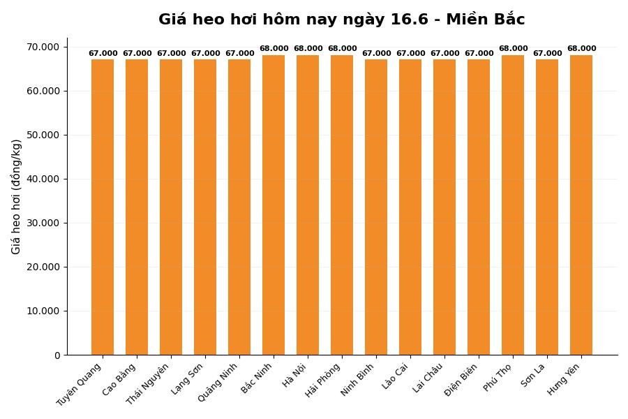 Giá heo hơi hôm nay tại khu vực miền Bắc. Đồ họa: Thùy Linh