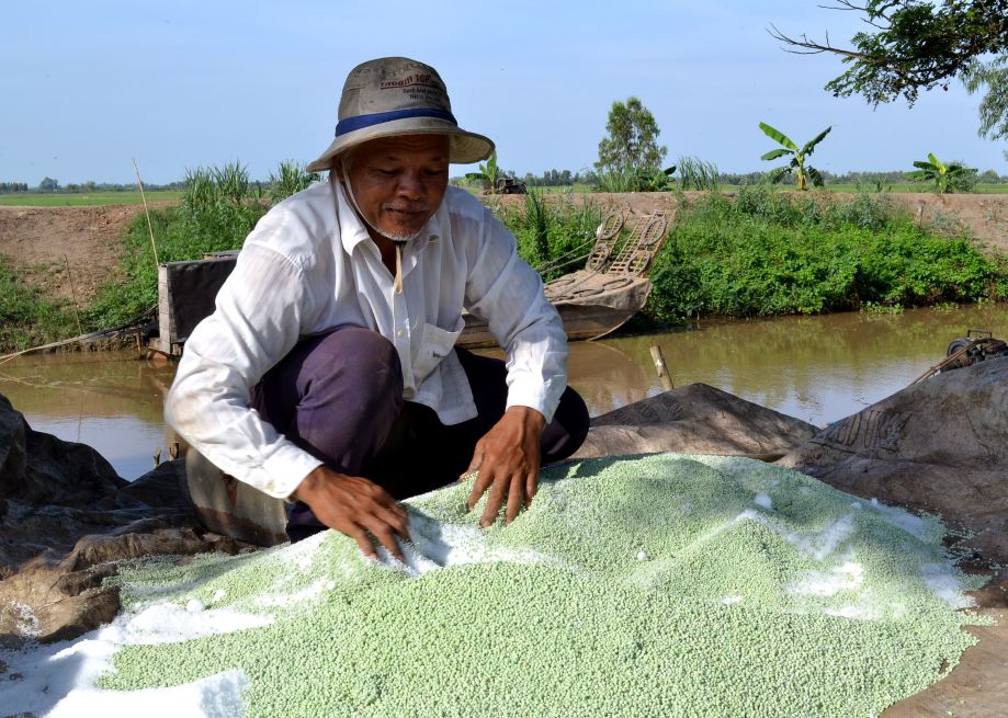 L'industrie vietnamienne des engrais est confrontée à l'exigence d'une restructuration pour un développement durable. Photo: Thanh Mai.