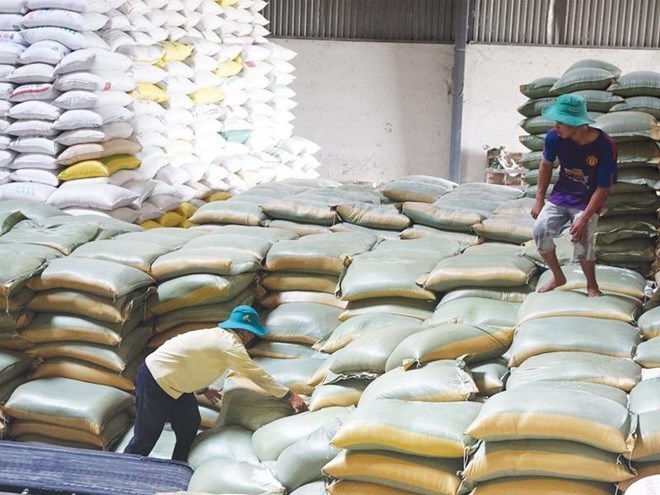 Re-emergence of contractors running away from packages related to national rice reserves. Photo: Duc Thanh