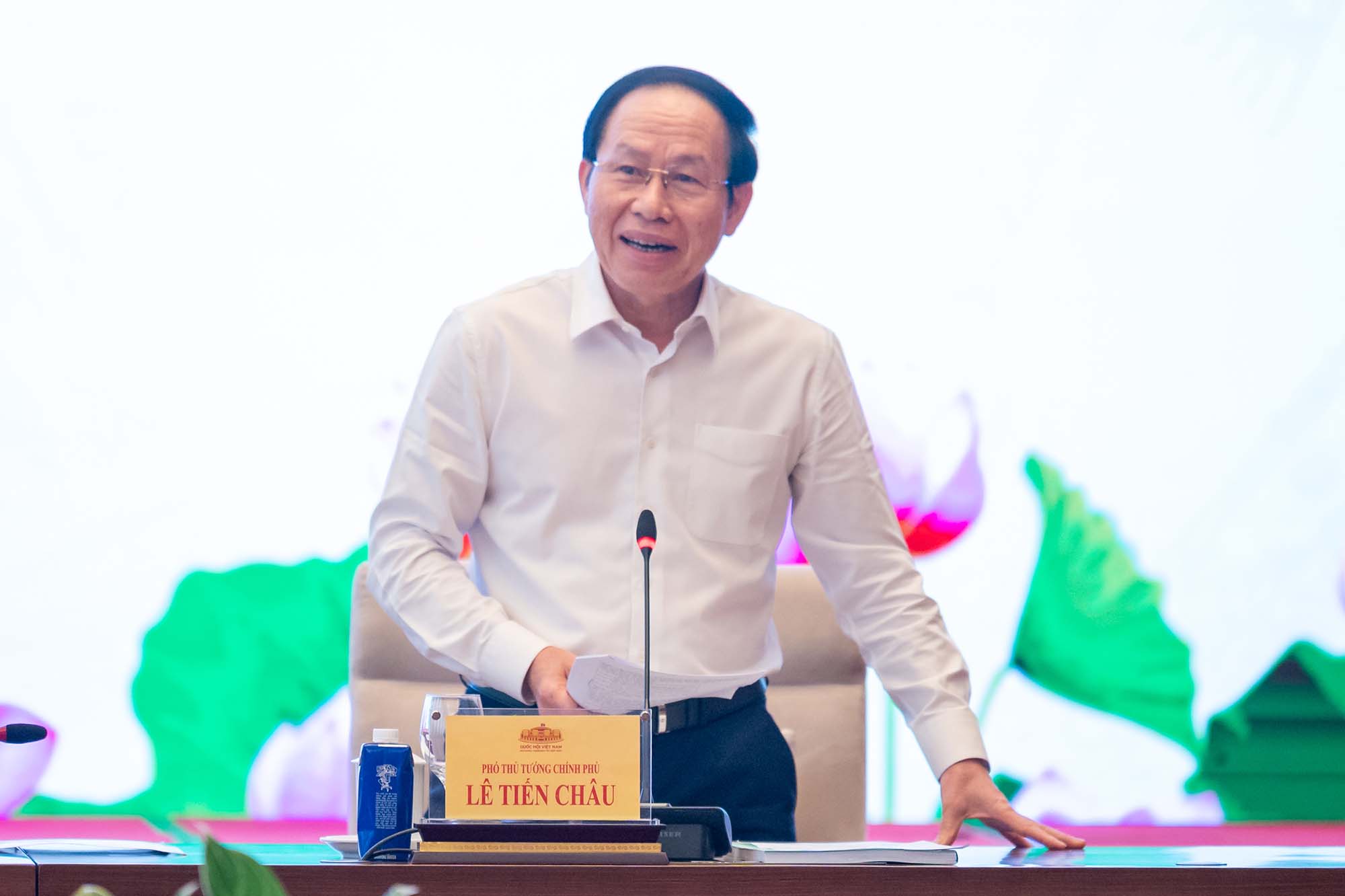 Member of the Party Central Committee, Deputy Prime Minister Le Tien Chau. Photo: Pham Thang