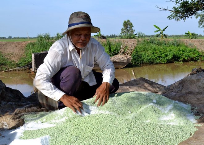 Ngành phân bón Việt Nam đứng trước yêu cầu tái cấu trúc để phát triển bền vững. Ảnh: Thanh Mai.