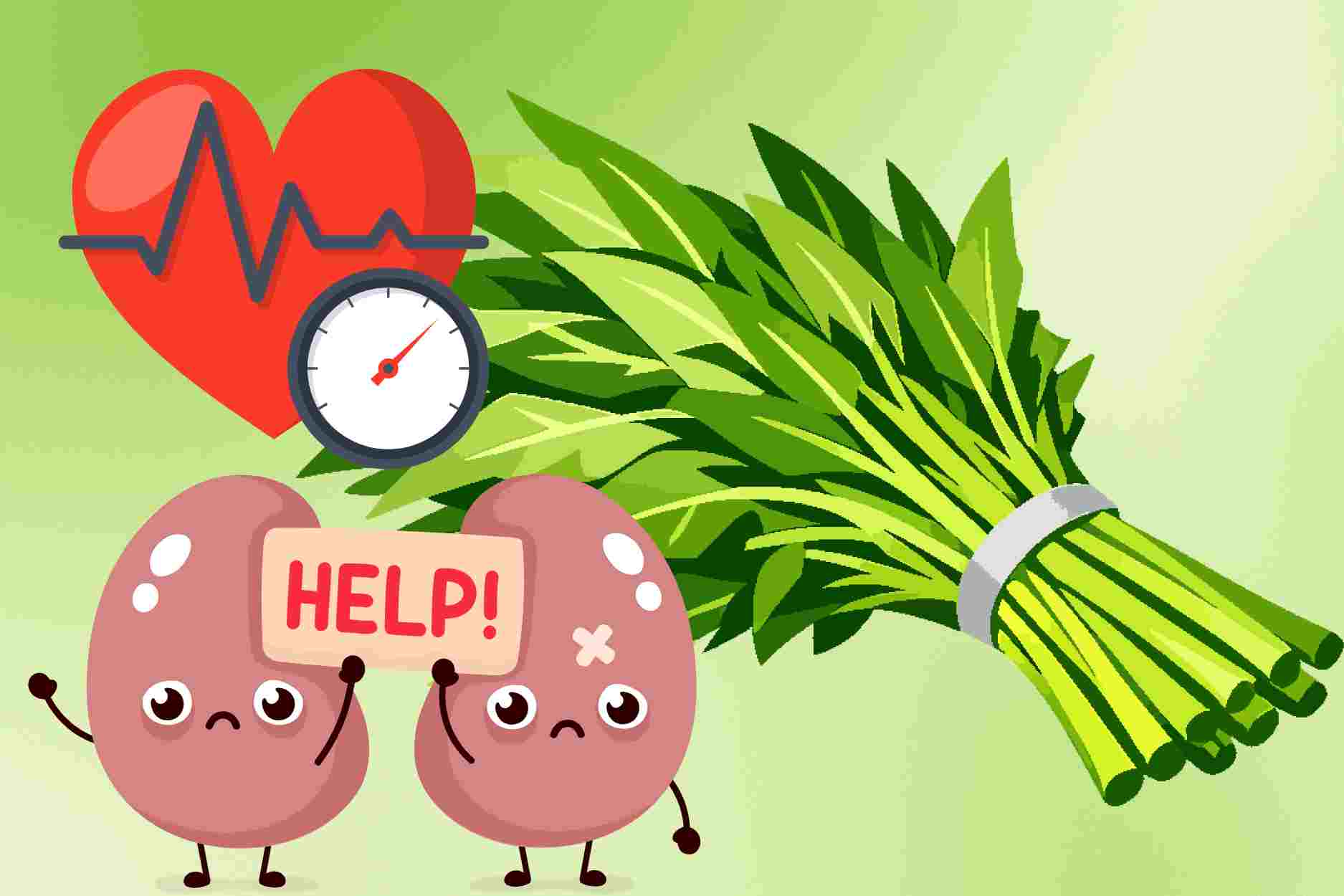 3 groups of people should limit eating water spinach to protect kidneys and blood pressure