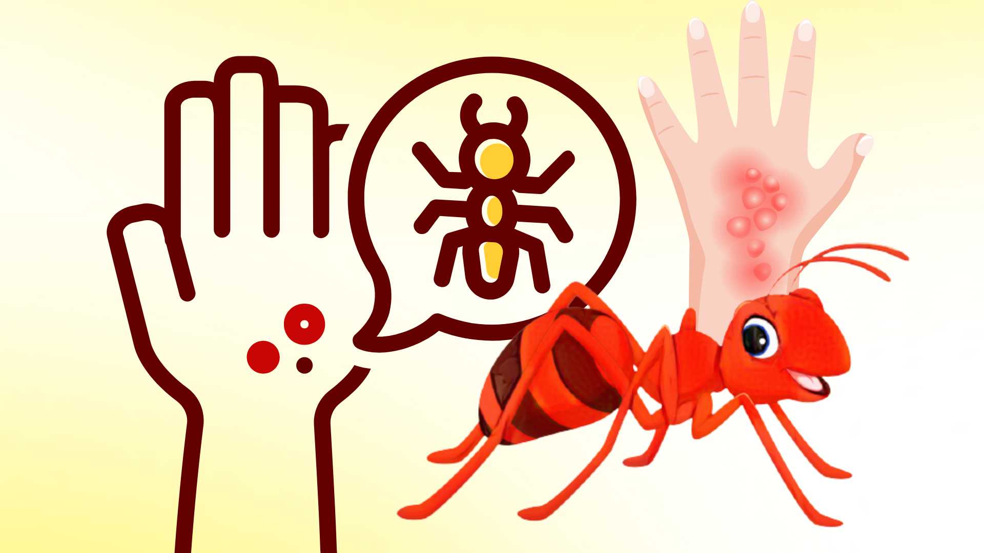 Things to do when bitten by termites to avoid spreading damage