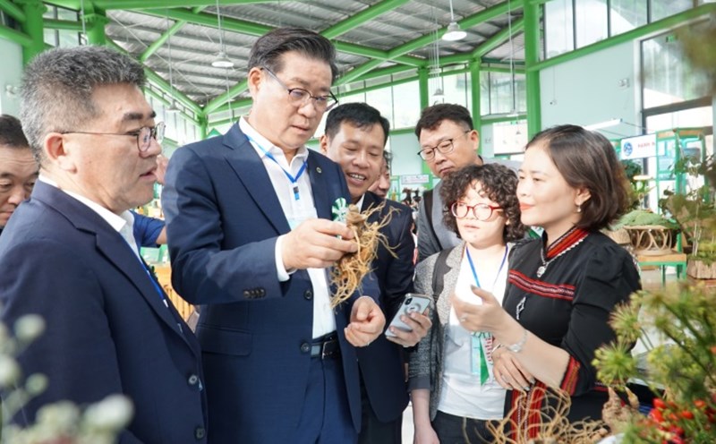 Bên cạnh hoàn thiện hạ tầng khẩn cấp sau bão lũ, xã Nam Trà My chú trọng hỗ trợ sinh kế, cải thiện điều kiện sống cho người dân vùng cao. Ảnh: Hoàng Bin