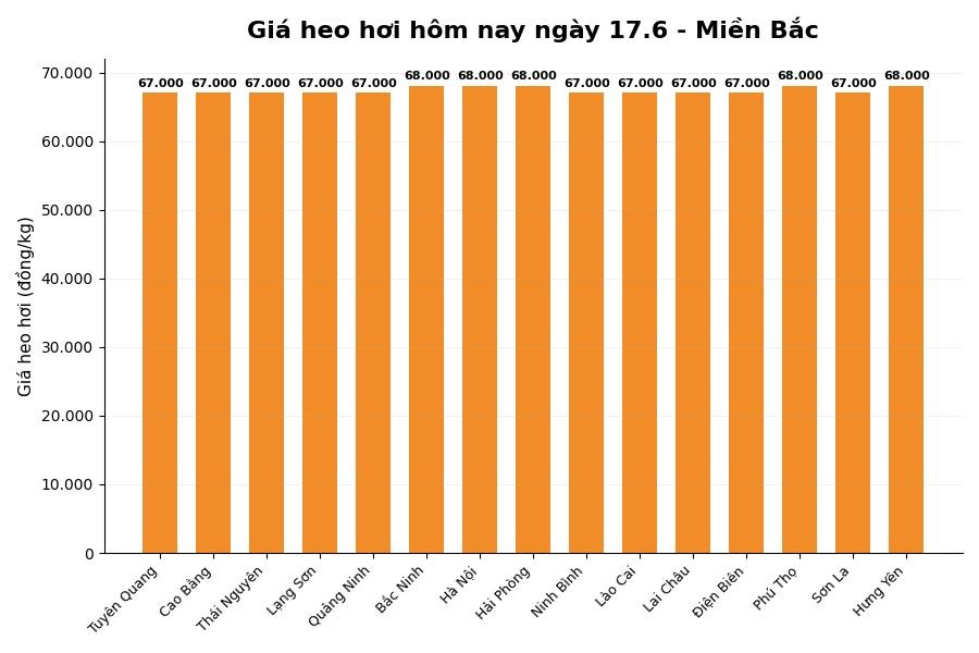Giá heo hơi hôm nay tại khu vực miền Bắc. Đồ họa: Thùy Linh