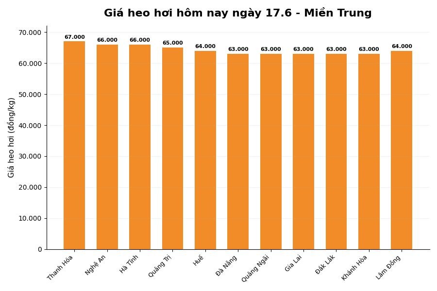 Giá heo hơi hôm nay tại khu vực miền Trung. Đồ họa: Thùy Linh