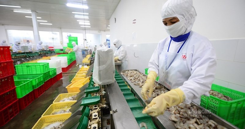 Agriculture, forestry and fishery have a trade surplus of over 7.5 billion USD in the first 5 months of 2026