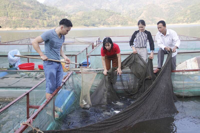 Người dân xã Tân Phong nuôi cá lồng trên lòng hồ. Ảnh: Trường Sơn