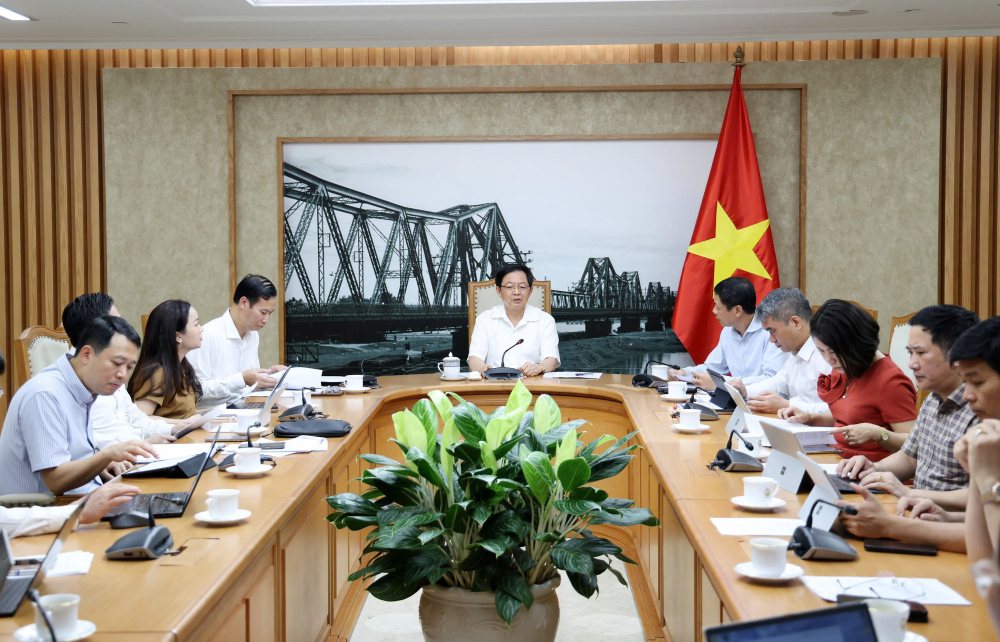Phó Thủ tướng Chính phủ yêu cầu nghiên cứu lồng ghép nhiệm vụ phát triển trí tuệ nhân tạo vào các quỹ hiện có. Ảnh: VGP