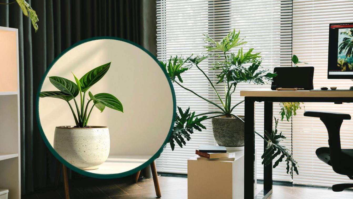 Green trees and suitable lighting systems make the living space more lively and attractive. Graphics: Thanh Thanh