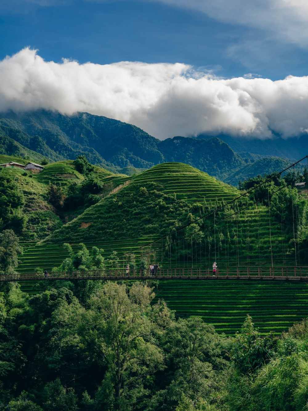Tả Van níu chân du khách bởi cảnh quan thiên nhiên trong lành. Ảnh: Duy Mạnh.