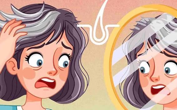 The reasons why gray hair appears at age 35. Graphics: Thien Nhan