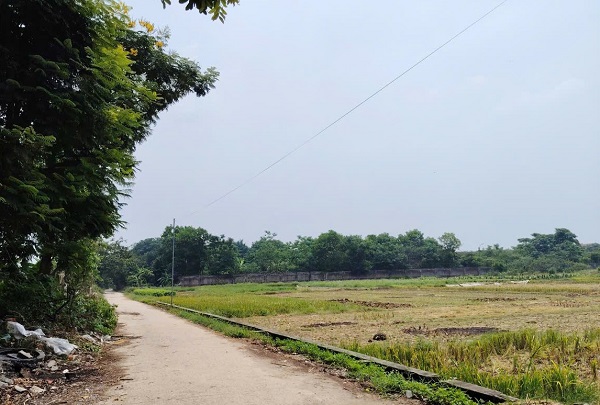 Agricultural land is a content that many people are interested in. Photo: Xuyen Dong