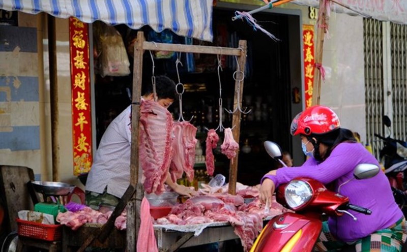 Live hog prices today have a slight decrease. Photo: My Ly