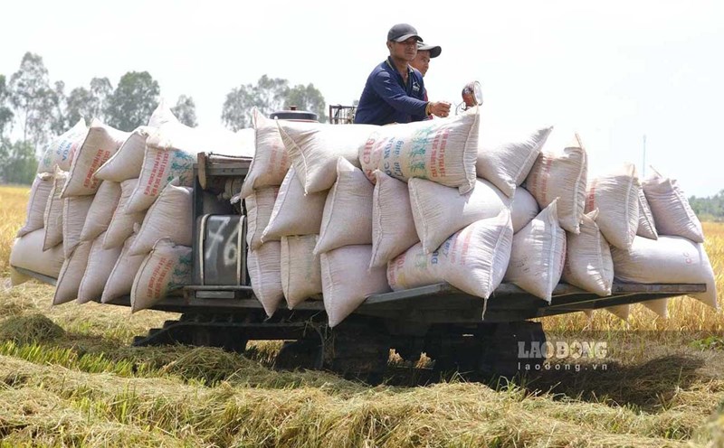 Le ministère de l'Agriculture et de l'Environnement espère continuer à promouvoir la réforme des procédures administratives dans une direction substantielle, en plaçant les citoyens et les entreprises au centre. Photo: Phương Anh