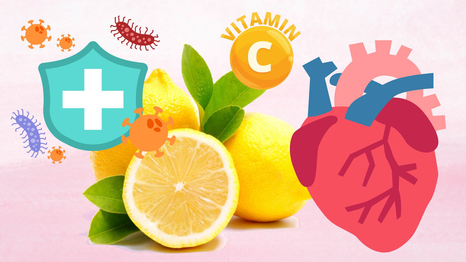 Prominent uses of yellow lemon with cardiovascular and immune systems.