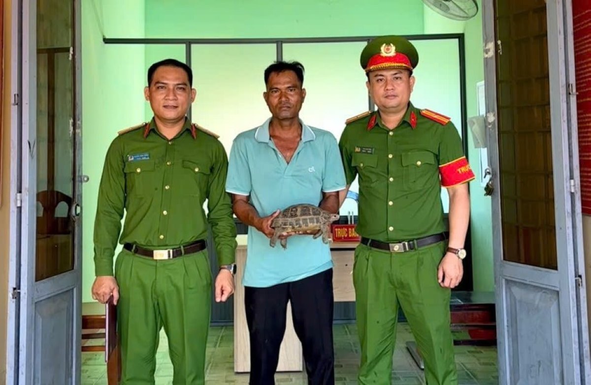 Công an xã Bắc Ruộng tiếp nhận cá thể rùa núi vàng do người dân phát hiện và giao nộp. Ảnh: Công an