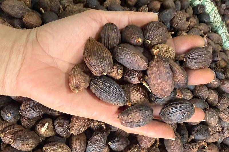 Thảo quả tươi và thảo quả khô Sơn La được thương lái thu mua với giá ổn định. Ảnh: Trường Sơn
