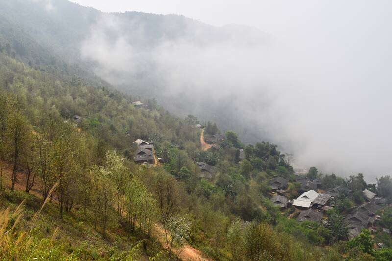 Forests in Chieng Hoa commune, Son La province are protected and planted with cardamom by people. Photo: Truong Son