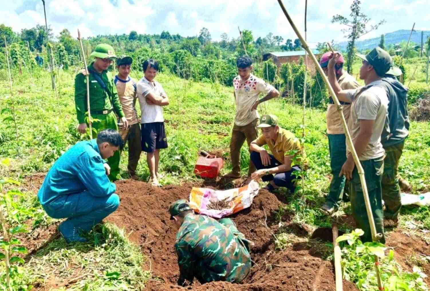 Lực lượng chức năng thu gom 1.140 viên đạn được người dân phát hiện trong rẫy cà phê. Ảnh: Thần Hy 