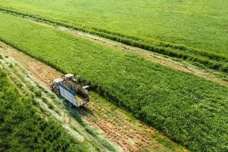 Vinamilk đang có loạt dự án đầu tư - mở rộng quy mô lớn, phủ từ trang trại, nhà máy đến hệ thống phân phối. Ảnh: Vinamilk