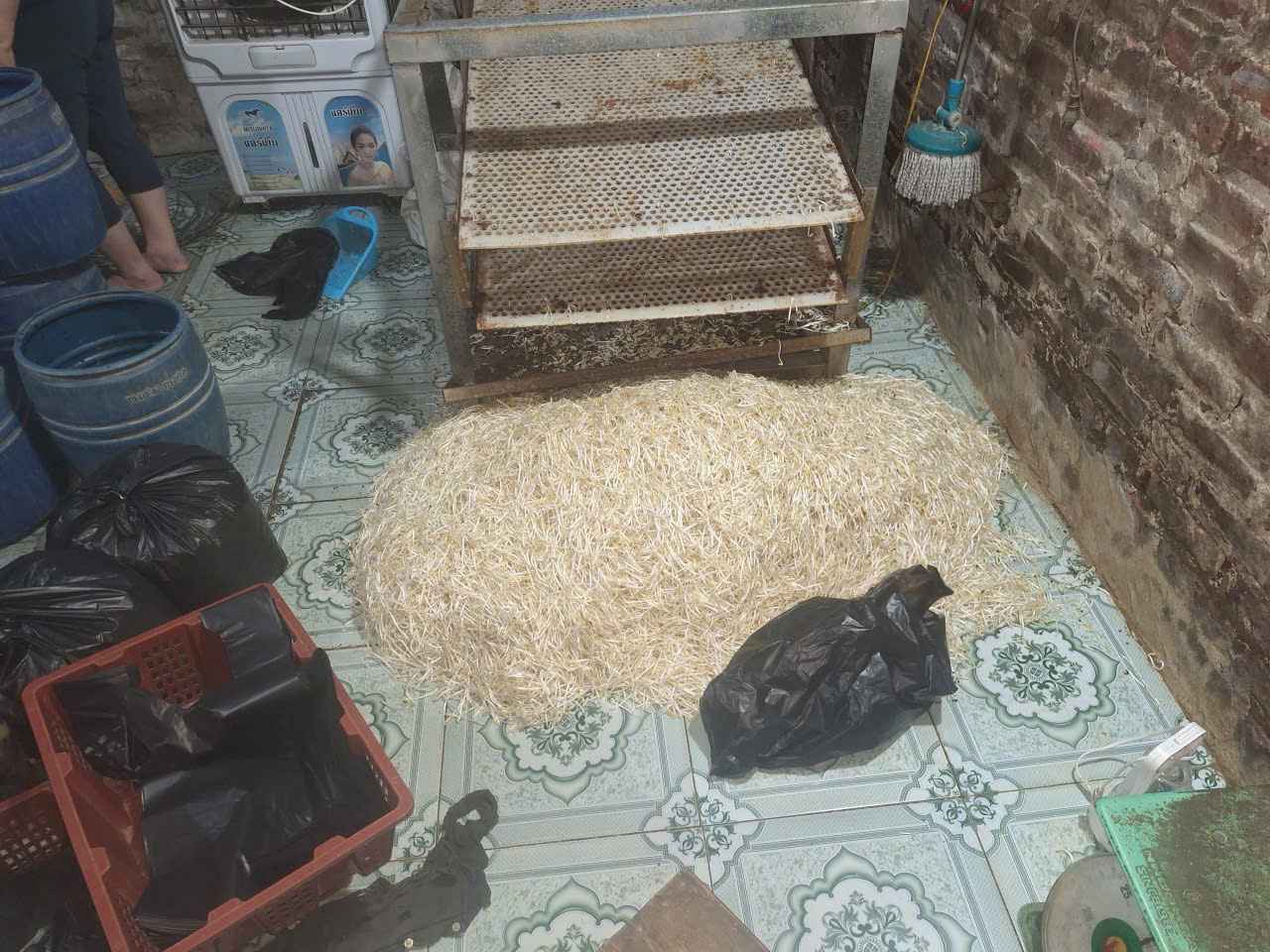 Phát hiện cơ sở dùng chất cấm sản xuất giá đỗ, 1 người bị khởi tố. Ảnh: Công an tỉnh Hưng Yên

