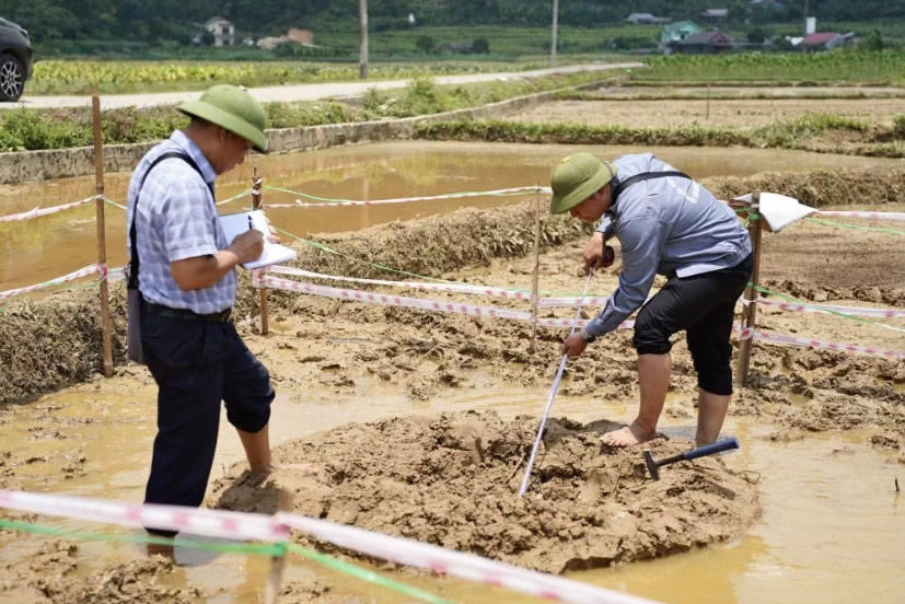 Đoàn khảo sát thuộc Bộ Nông nghiệp và Môi trường đánh giá mức độ mở rộng của hố sụt lún xuất hiện tại xã Trường Hà, tỉnh Cao Bằng. Ảnh: Xã Trường Hà