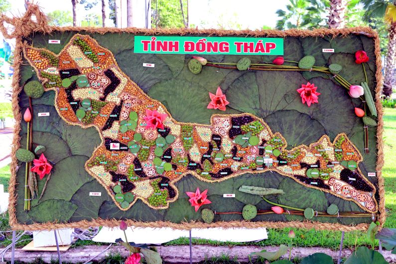 Cận cảnh bản đồ hình chính tỉnh Đồng Tháp được tạo hình từ vật liệu sen. Ảnh: Ban tổ chức