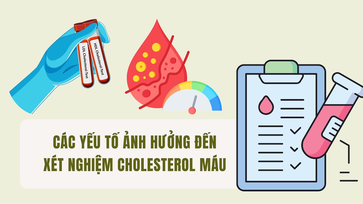 Factors affecting blood cholesterol testing