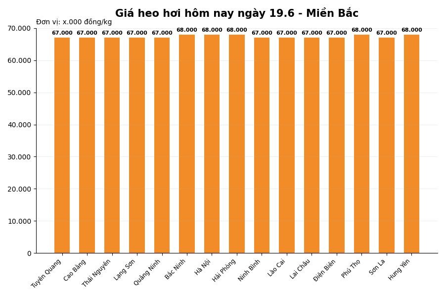 Giá heo hơi hôm nay 19.4 tại khu vực miền Bắc. Đồ họa: Thùy Linh