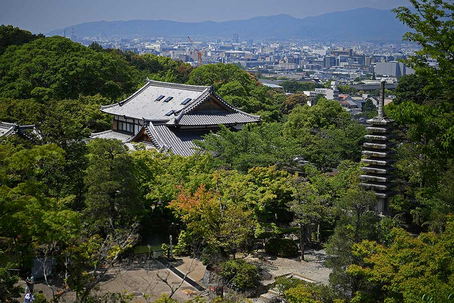  Giữa biển cây xanh và những mái chùa  cổ kính, Kyoto hiện lên bình yên như một  bức tranh được gìn giữ qua nhiều thế kỷ. 