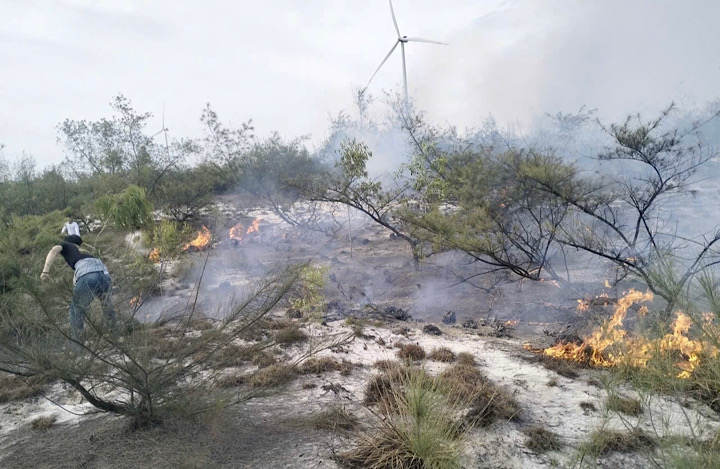 Un incendie de forêt s'est déclaré dans la commune de Ninh Chau. Photo de : Thanh Phuong