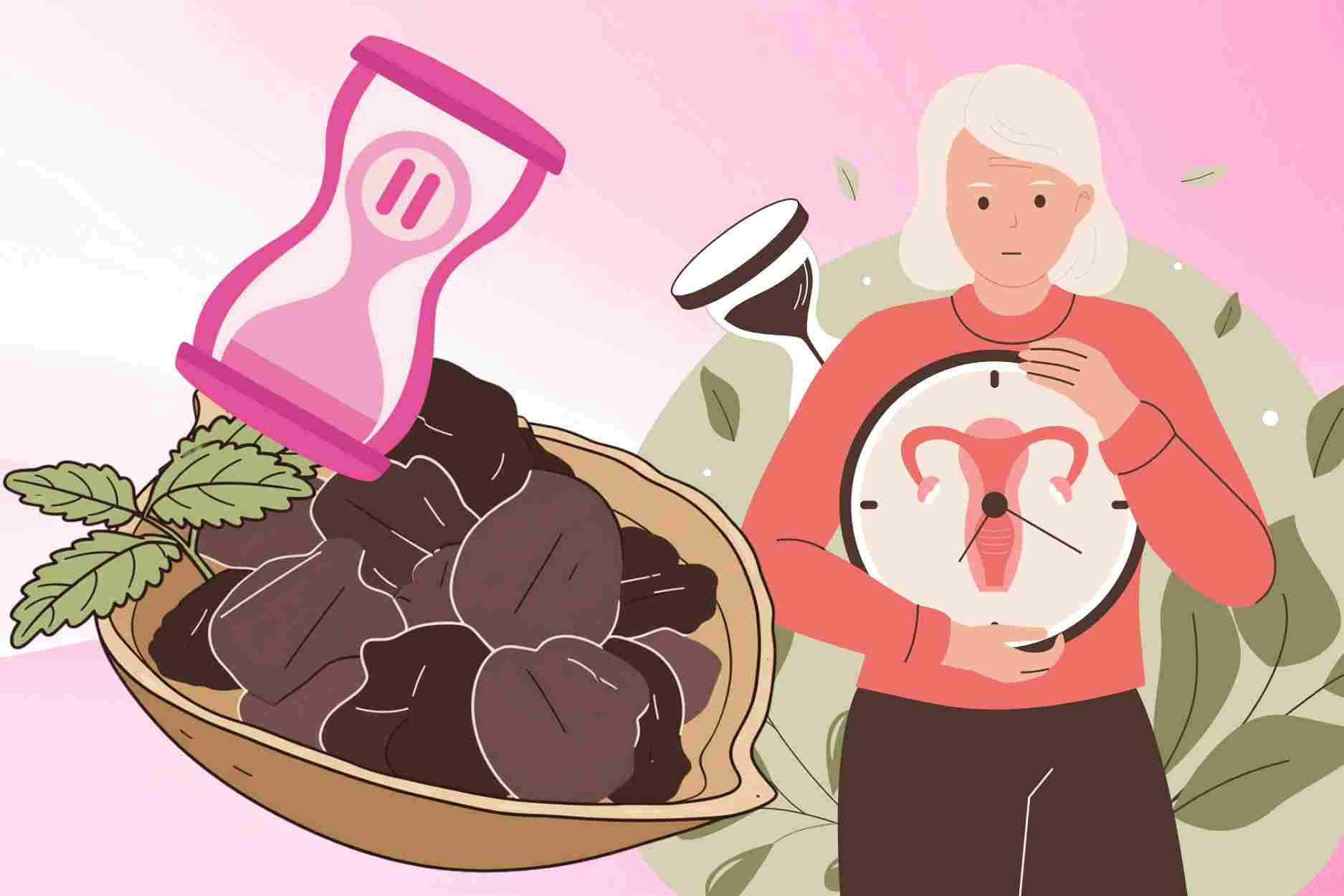 Benefits of prunes for menopausal women