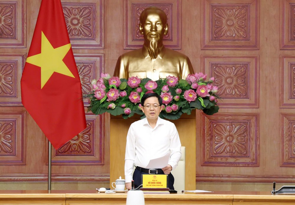 Member of the Party Central Committee, Deputy Prime Minister Ho Quoc Dung requested to open a new peak period, tightening the enforcement of intellectual property rights. Photo: VGP/Gia Huy